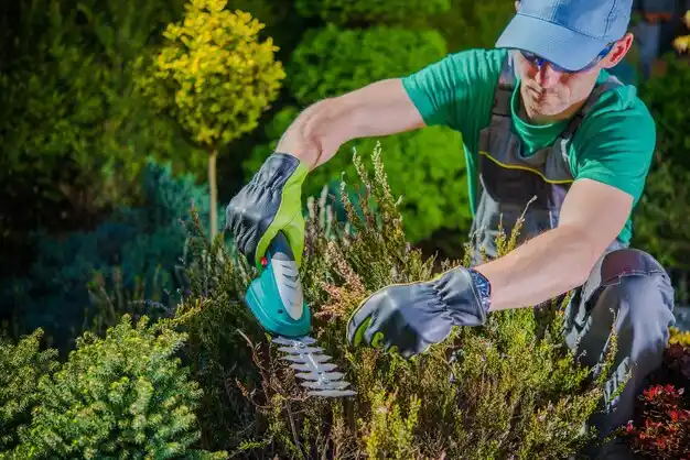 landscaping services Parma Heights